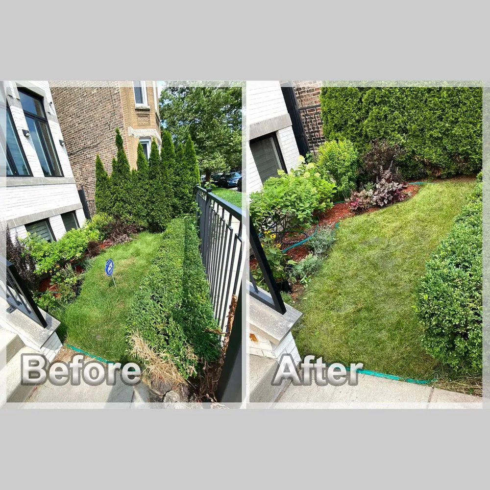 Custom lawn care service for residential properties across Chicago, IL - Urich Services