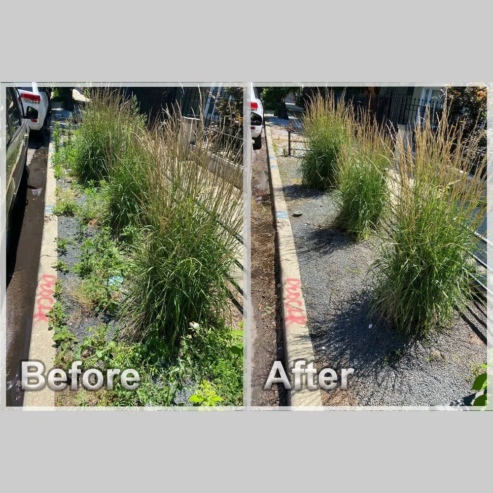 Professional outdoor landscaping experts serving Chicago, IL - Urich Services