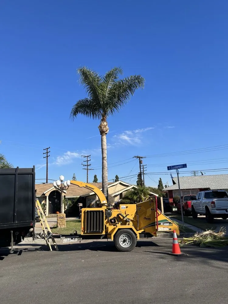 Professional landscaping services in Los Angeles, CA by Uriel Banuelos Tree Surgeons