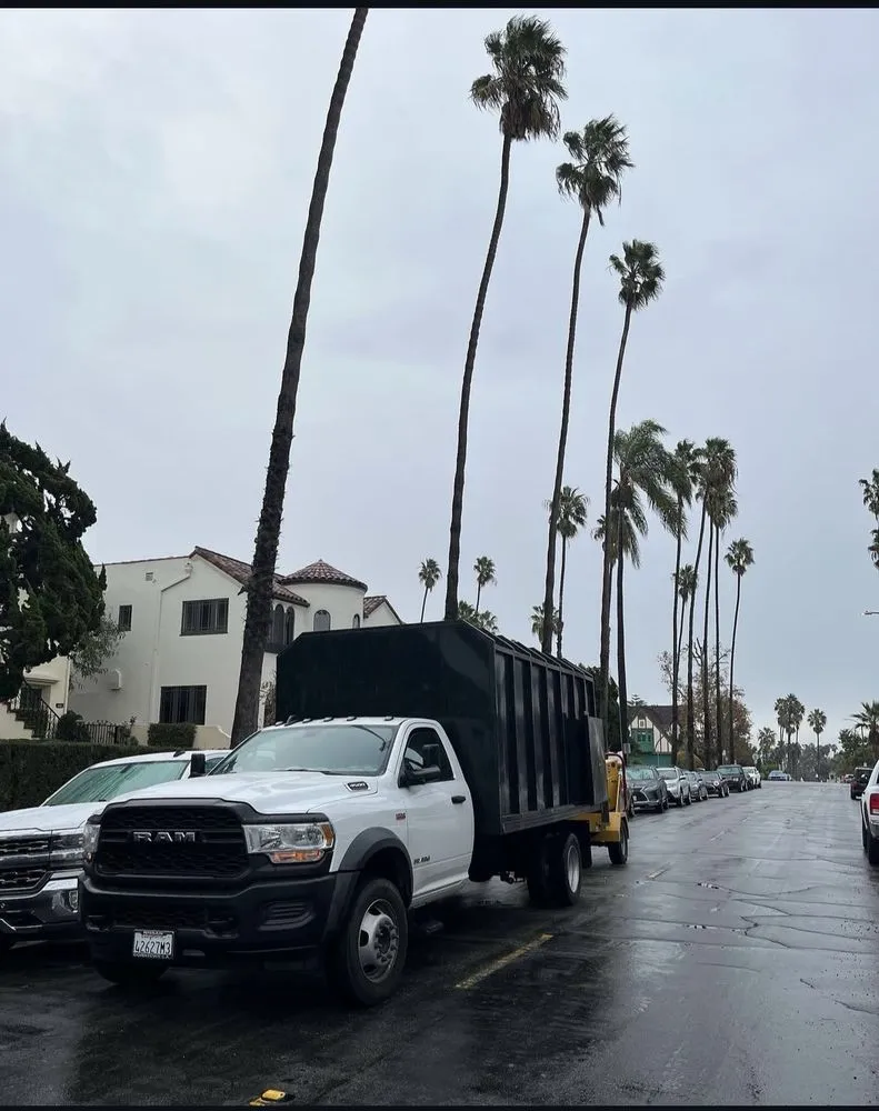 Reliable yard maintenance for outdoor upgrades in Los Angeles, CA by Uriel Banuelos Tree Surgeons