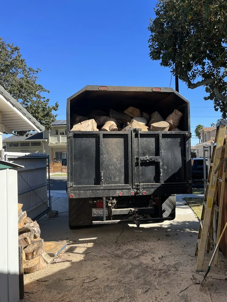 Expert landscape design with custom design in Los Angeles, CA by Uriel Banuelos Tree Surgeons