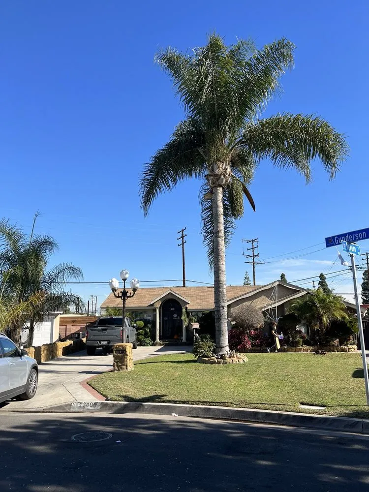 Local garden landscaping experts serving Los Angeles, CA - Uriel Banuelos Tree Surgeons