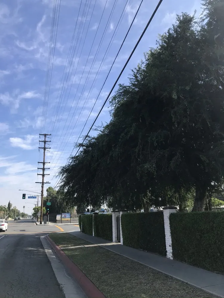 Trusted outdoor landscaping experts serving Los Angeles, CA - Uriel Banuelos Tree Surgeons