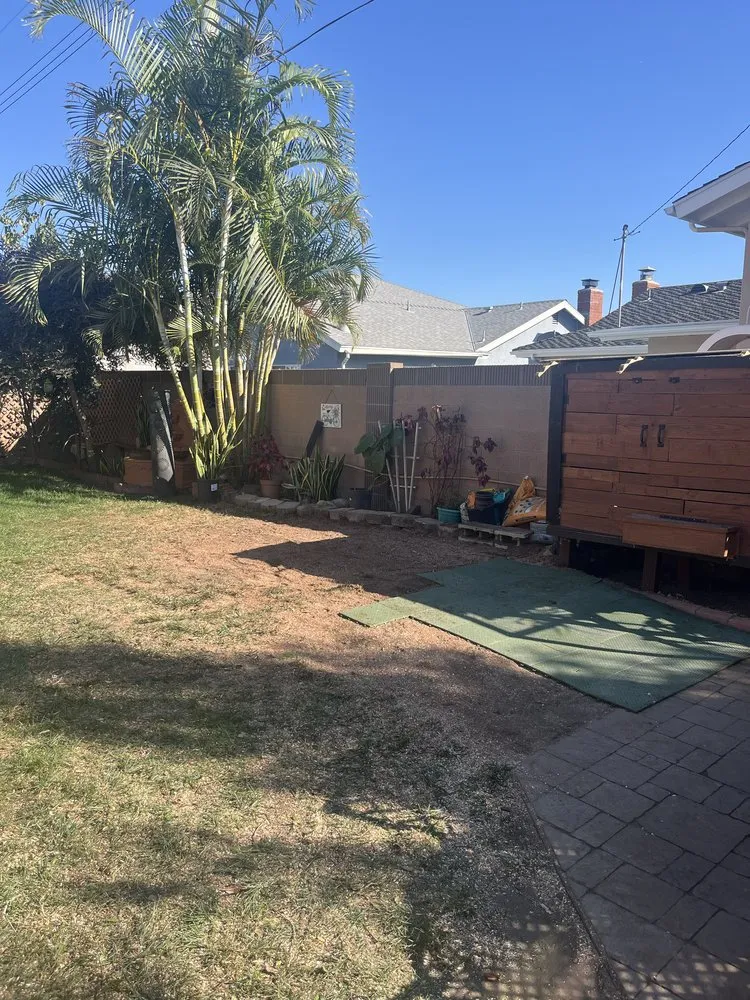 Affordable yard cleanup service experts serving Los Angeles, CA - Uriel Banuelos Tree Surgeons