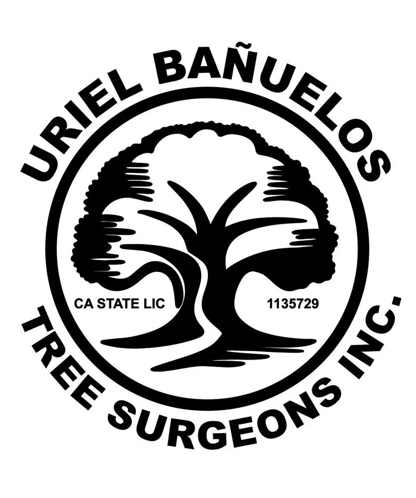Professional garden landscaping for beautiful yards across Los Angeles, CA - Uriel Banuelos Tree Surgeons