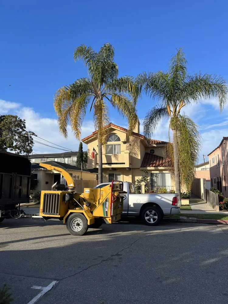 Expert outdoor landscaping in Los Angeles, CA by Uriel Banuelos Tree Surgeons