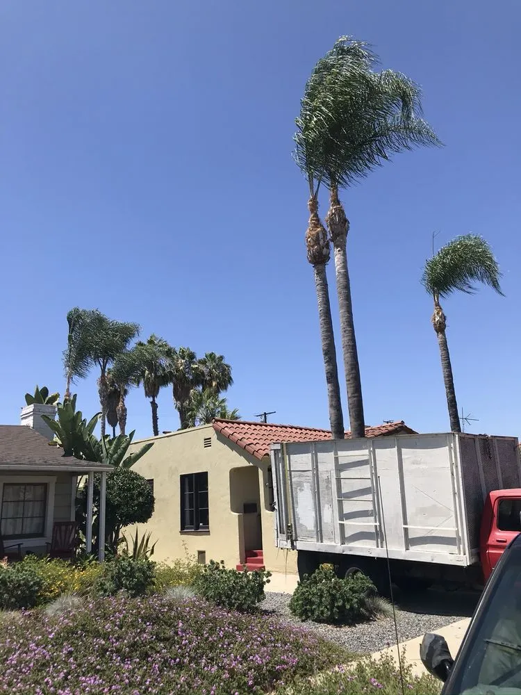 Affordable landscape design experts serving Los Angeles, CA - Uriel Banuelos Tree Surgeons