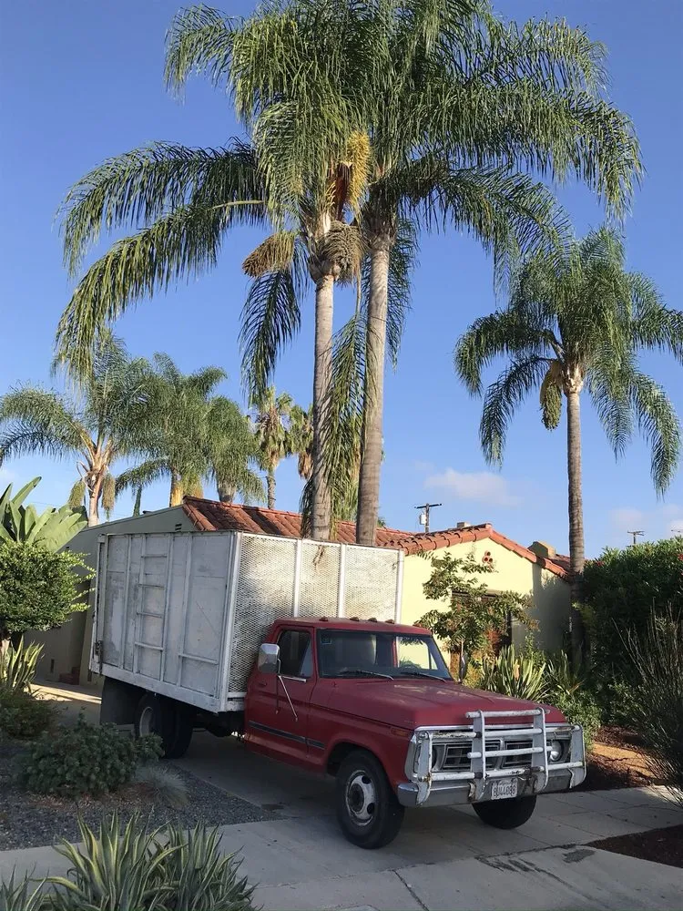 Custom lawn mowing service for residential properties in Los Angeles, CA by Uriel Banuelos Tree Surgeons