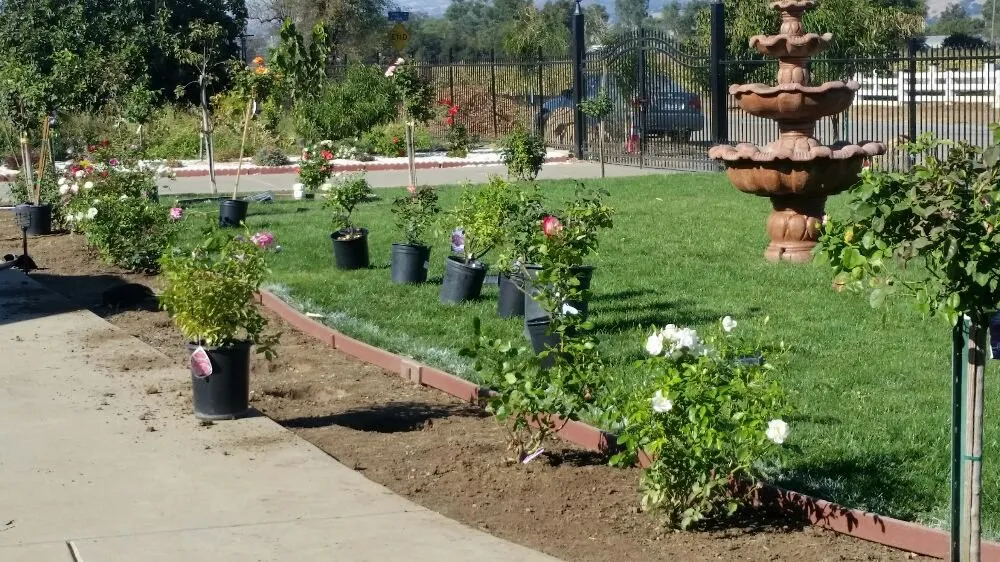 Professional yard maintenance for homes in Morgan Hill, CA by Uriel's Landscaping