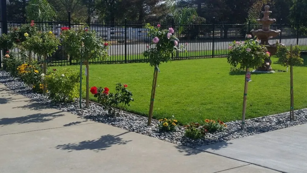 Affordable yard maintenance in Morgan Hill, CA - Uriel's Landscaping