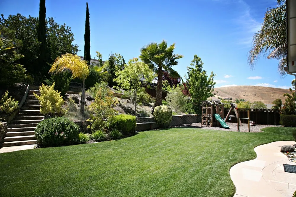 Affordable landscape installation near you across Morgan Hill, CA - Uriel's Landscaping