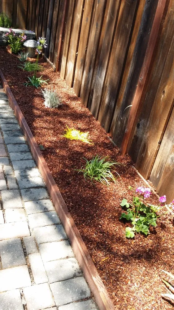 Local lawn care service in Morgan Hill, CA - Uriel's Landscaping