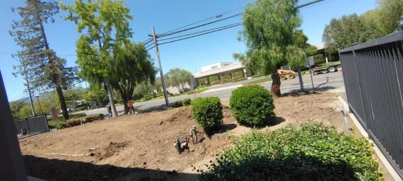 Reliable lawn care service experts serving Morgan Hill, CA - Uriel's Landscaping