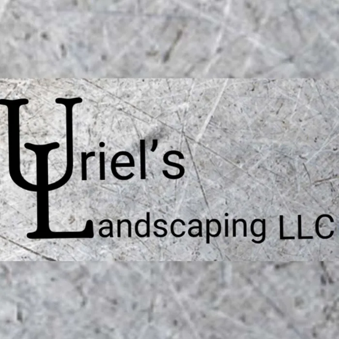 Local yard cleanup service in Tucson, AZ by Uriels Landscaping