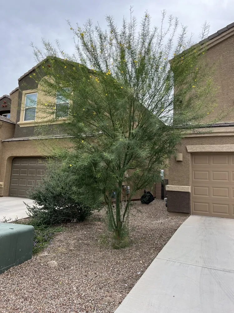 Affordable lawn mowing service for homes in Tucson, AZ by Uriels Landscaping