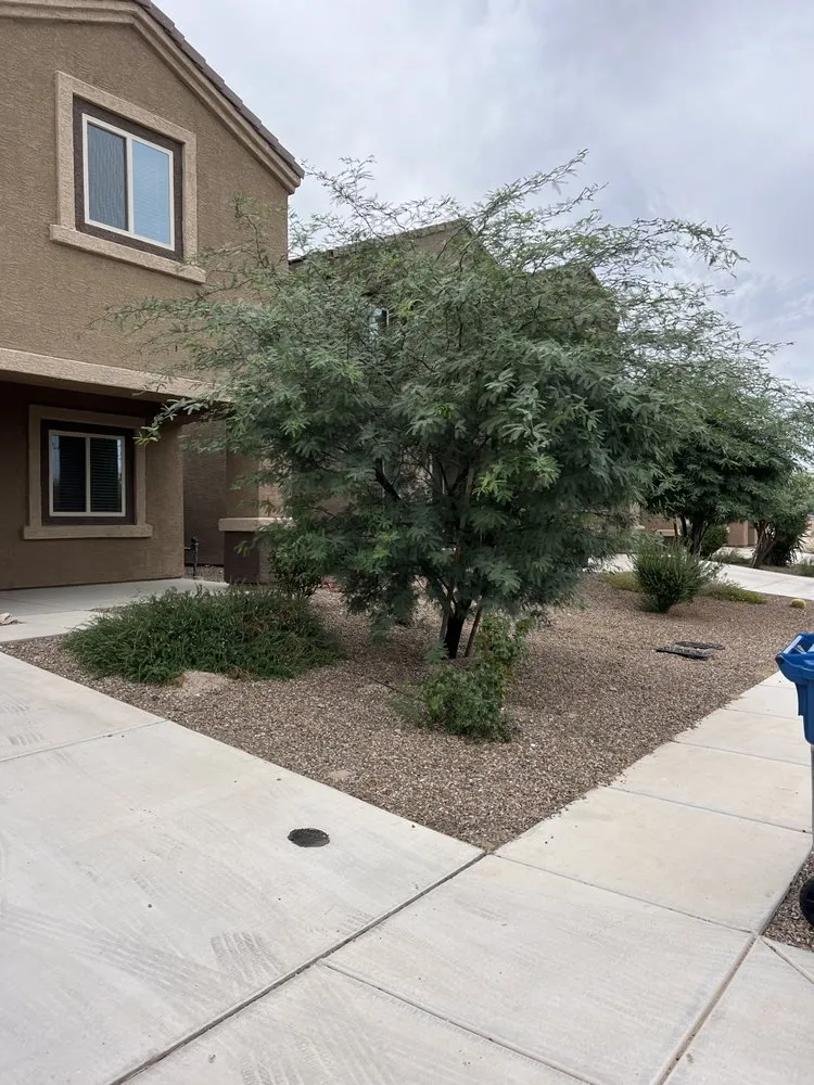 Local landscaping services with custom design across Tucson, AZ - Uriels Landscaping
