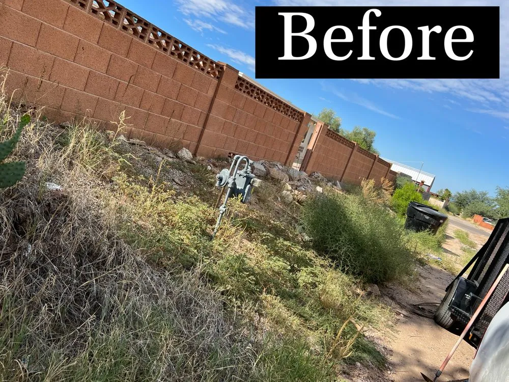 Expert landscape design for year-round maintenance across Tucson, AZ - Uriels Landscaping
