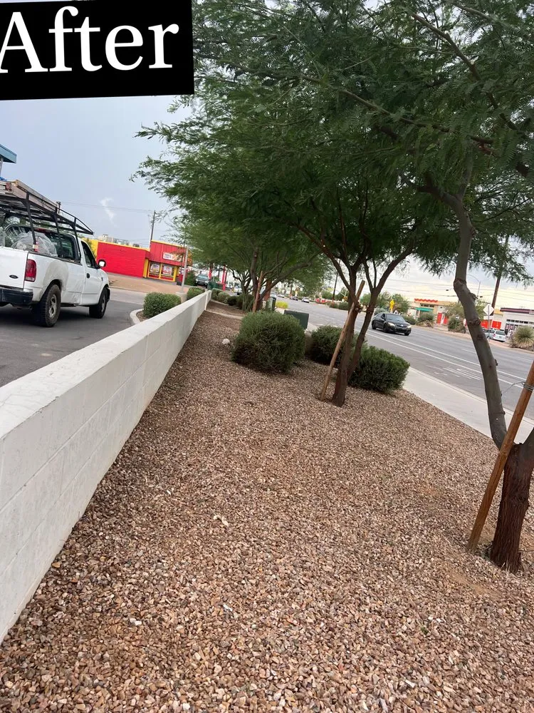 Expert lawn care service in Tucson, AZ - Uriels Landscaping