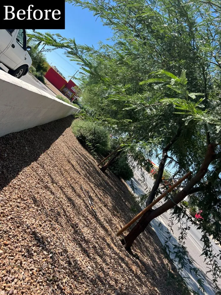 Custom lawn mowing service in Tucson, AZ by Uriels Landscaping