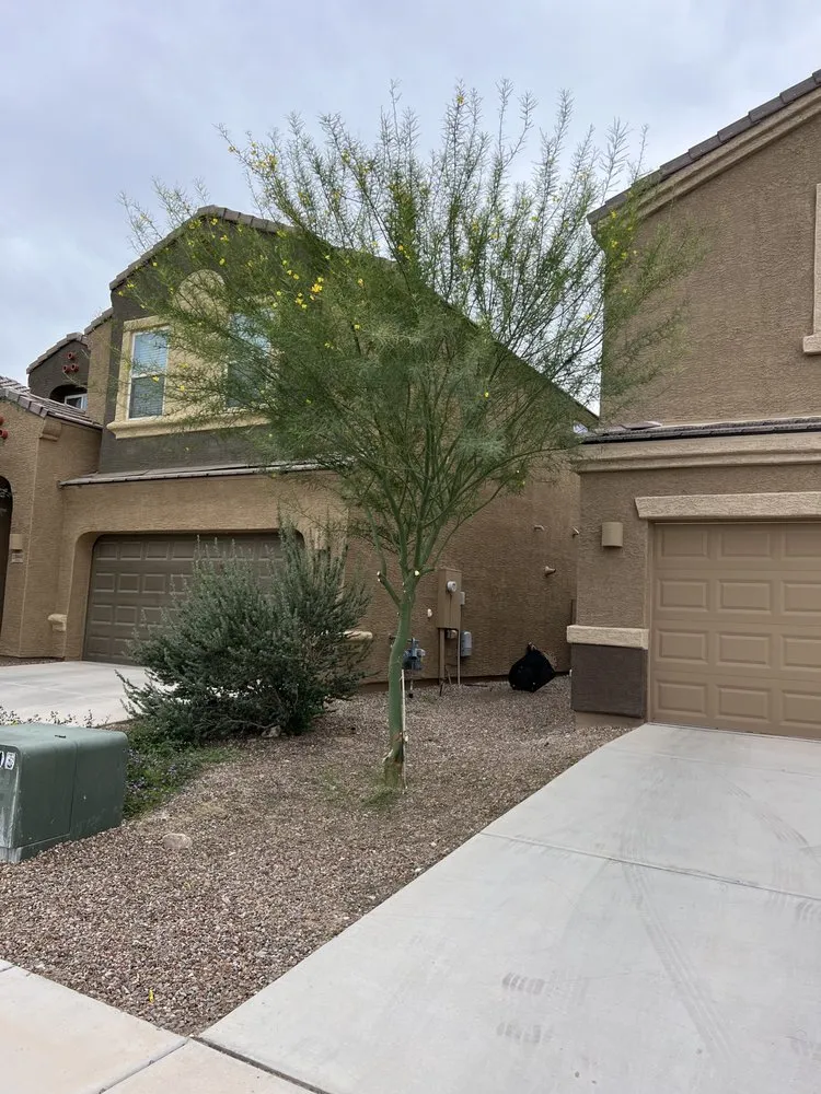 Expert garden landscaping experts serving Tucson, AZ - Uriels Landscaping