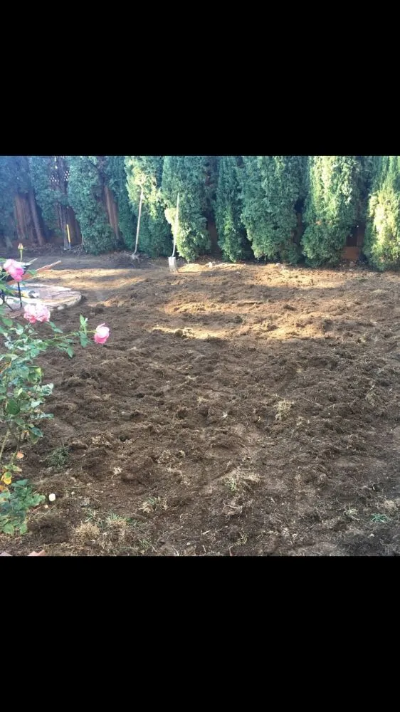 Custom residential landscaping for homes in Menlo Park, CA by Urizar Gardening