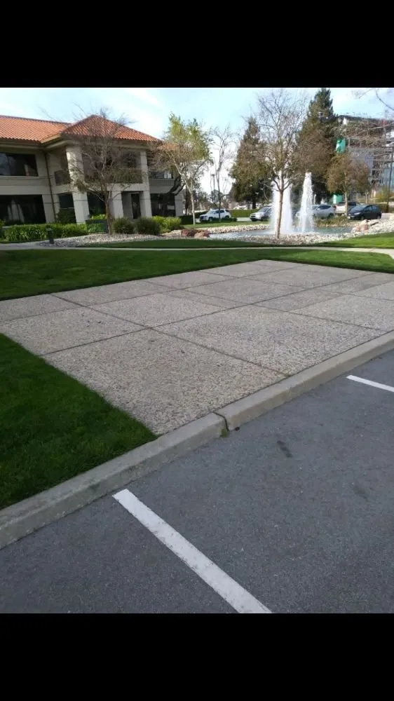 Professional outdoor landscaping in Menlo Park, CA by Urizar Gardening