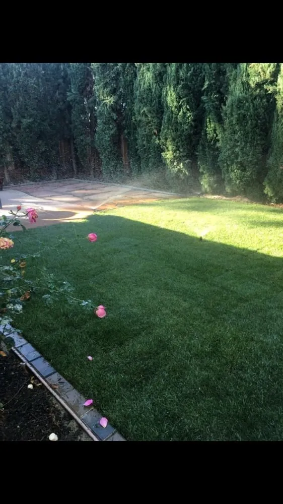 Affordable lawn care service for year-round maintenance across Menlo Park, CA - Urizar Gardening