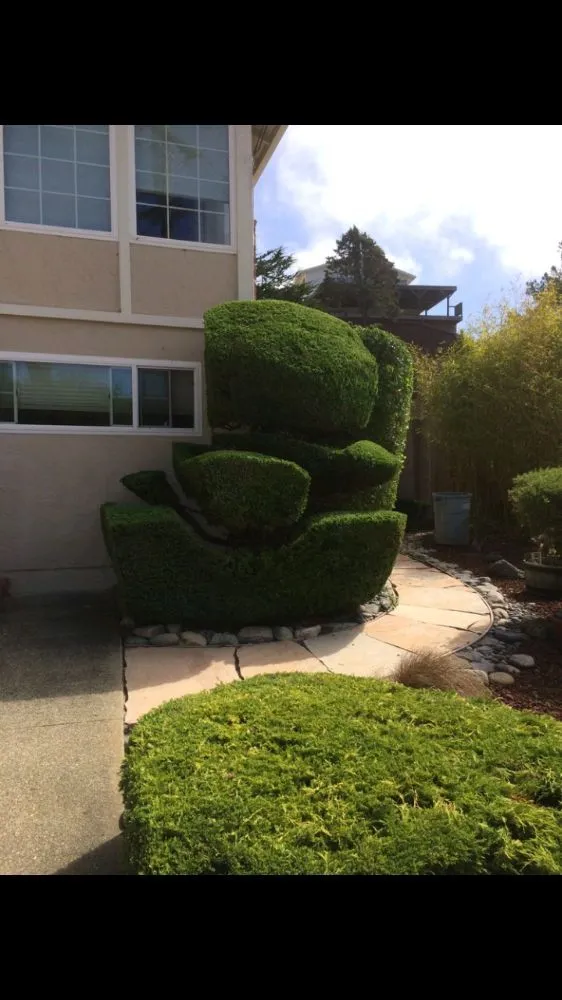 Reliable yard cleanup service for homes in Menlo Park, CA by Urizar Gardening