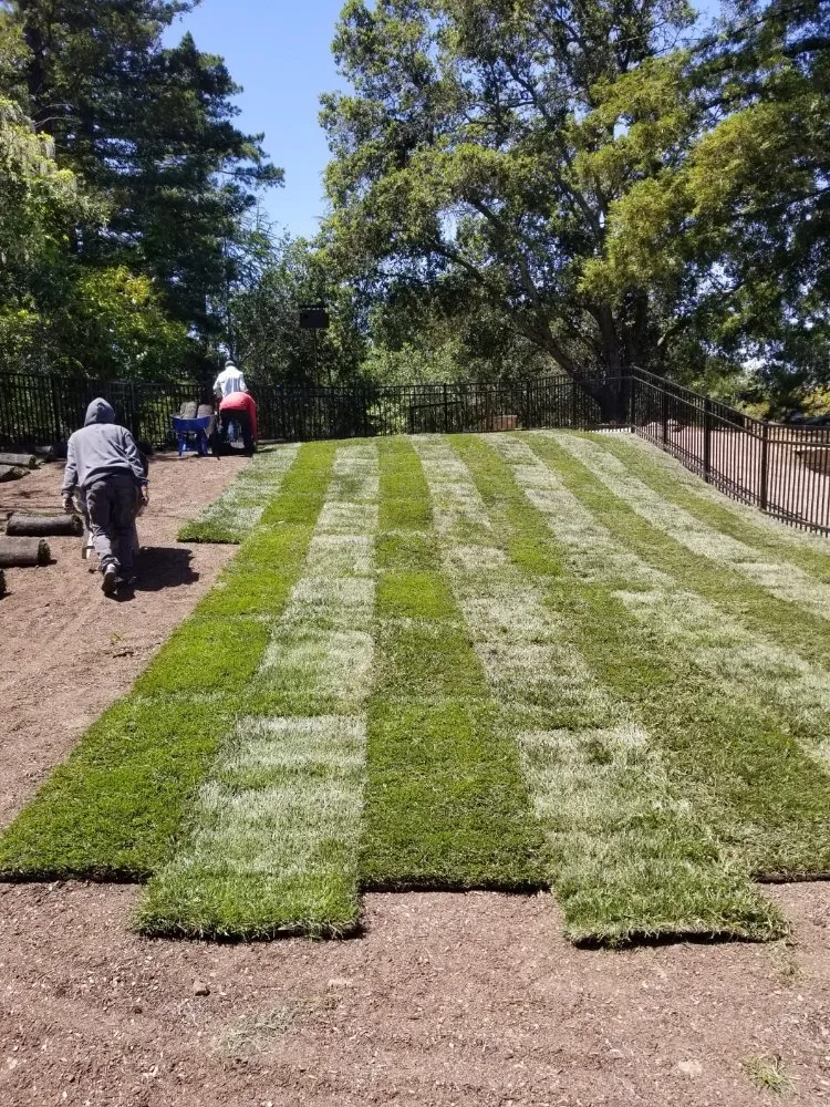 Custom garden landscaping with custom design across Palo Alto, CA - Urizar Landscaping