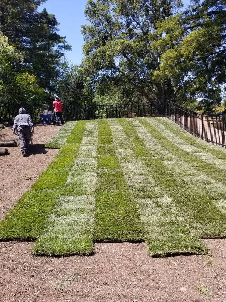 Top-rated yard maintenance experts serving Palo Alto, CA - Urizar Landscaping