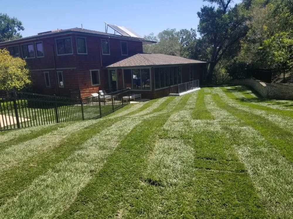 Expert lawn mowing service in Palo Alto, CA by Urizar Landscaping