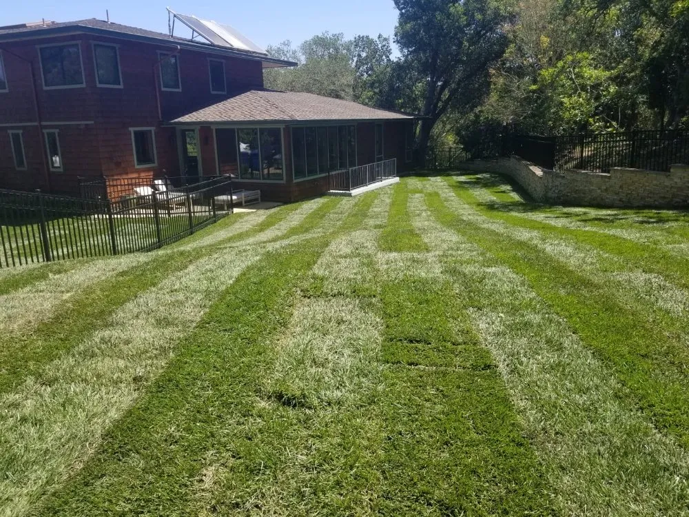 Top-rated outdoor landscaping for residential properties across Palo Alto, CA - Urizar Landscaping