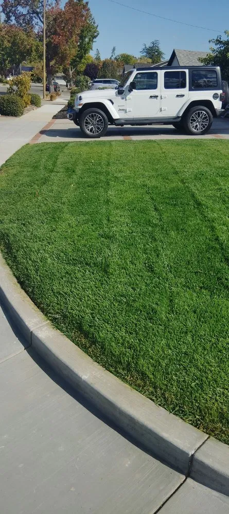 Local garden landscaping in Palo Alto, CA - Urizar Landscaping