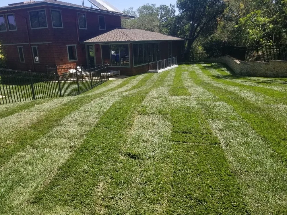 Local residential landscaping in Palo Alto, CA - Urizar Landscaping