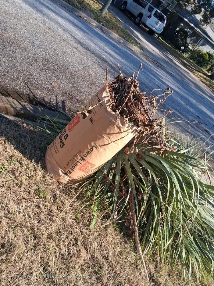 Professional outdoor landscaping for year-round maintenance in Savannah, GA by Urizar Lanscaping and Hardscape