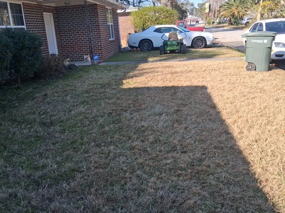 Professional lawn care service in Savannah, GA - Urizar Lanscaping and Hardscape