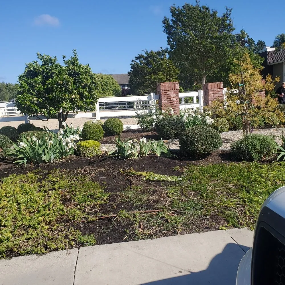 Trusted outdoor landscaping with custom design in Costa Mesa, CA by Urquiza landscaping