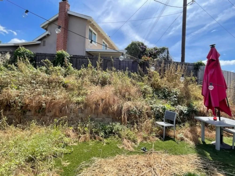 Top-rated landscape design for year-round maintenance across Costa Mesa, CA - Urquiza landscaping