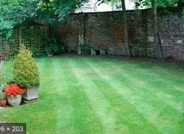 Professional yard cleanup service for beautiful yards across Panama City, FL - Urra's Lawn Service