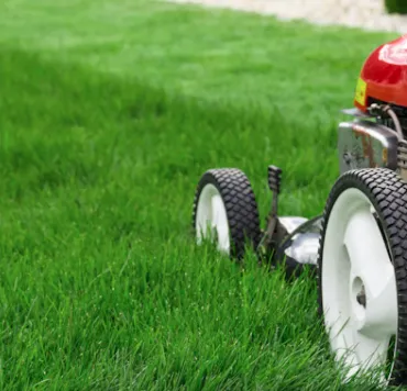 Reliable residential landscaping in Panama City, FL - Urra's Lawn Service