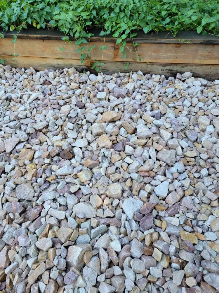 Local yard maintenance for year-round maintenance across North Logan, UT - US AAA Dandilions