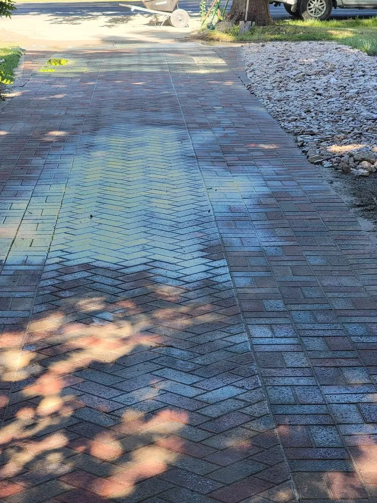 Top-rated lawn care service experts serving North Logan, UT - US AAA Dandilions