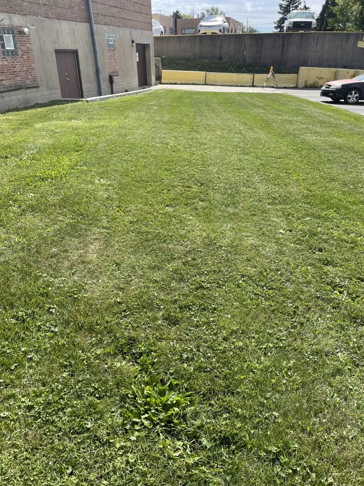 Reliable garden landscaping for homes in Chicago, IL by US Gardens