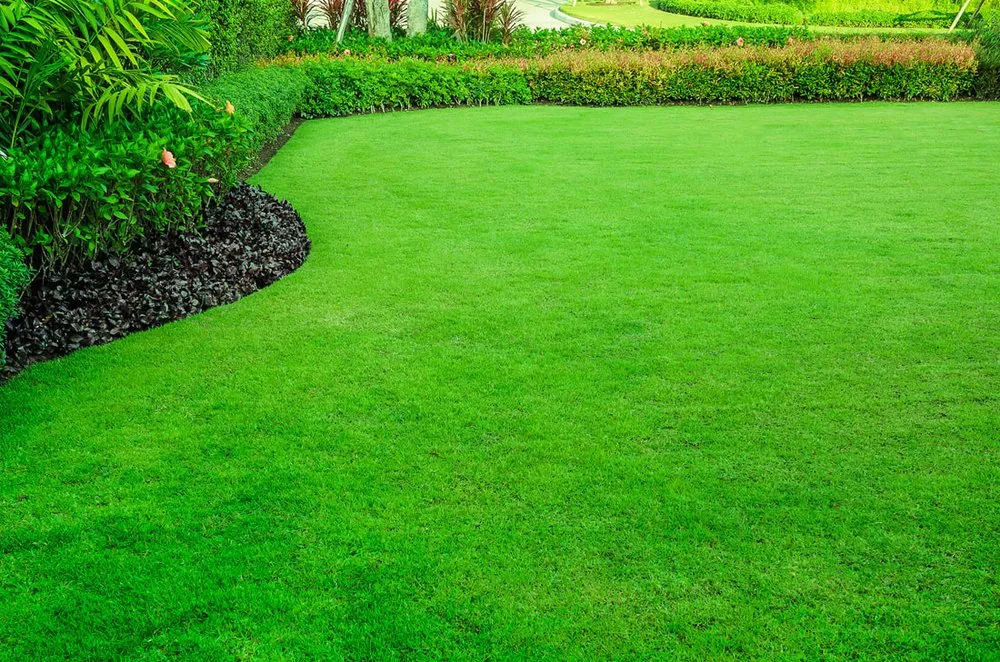 Affordable lawn care service for year-round maintenance across Leslie, MI - US Groundsmen