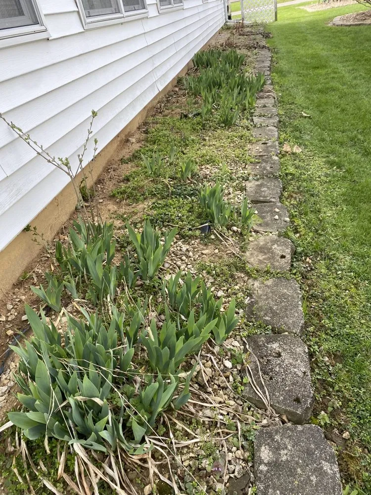 Affordable garden landscaping with custom design across Leslie, MI - US Groundsmen