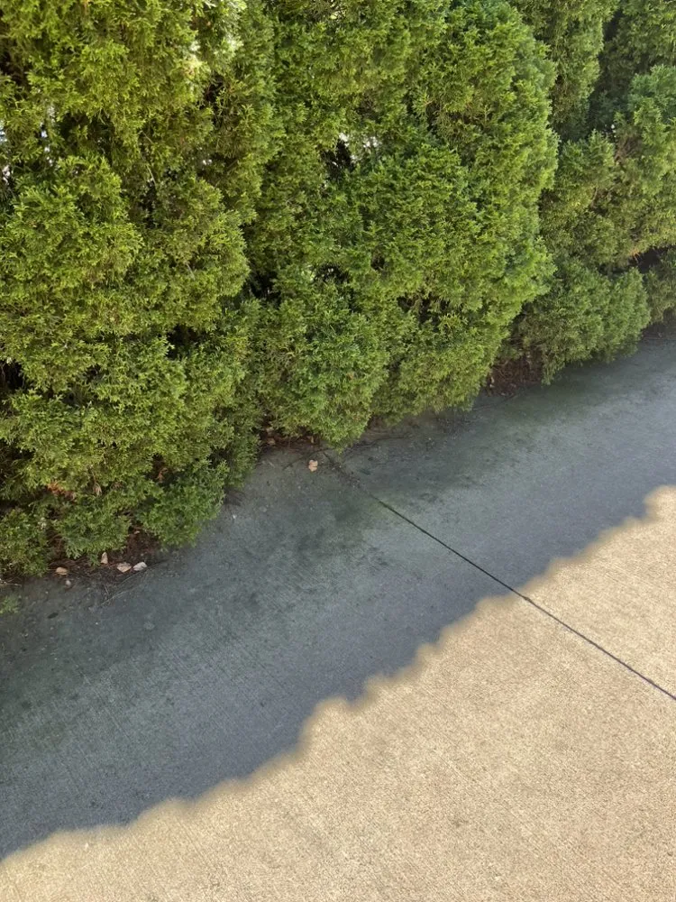 Reliable lawn mowing service in Westlake, OH - US Hustles