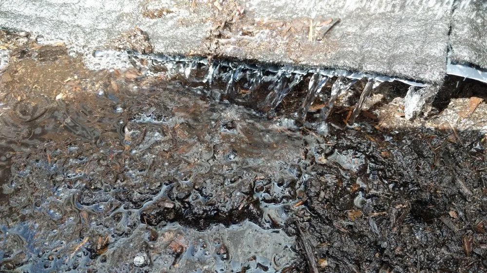 Professional lawn care service experts serving San Francisco, CA - US Landscape design And Restorations