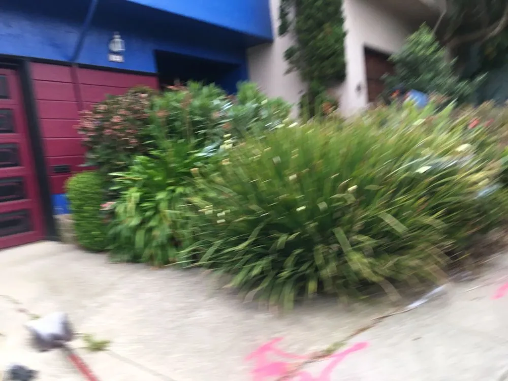 Custom yard maintenance in San Francisco, CA by US Landscape design And Restorations