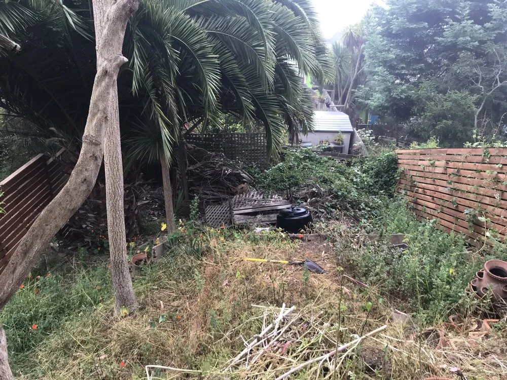 Professional yard maintenance for beautiful yards across San Francisco, CA - US Landscape design And Restorations