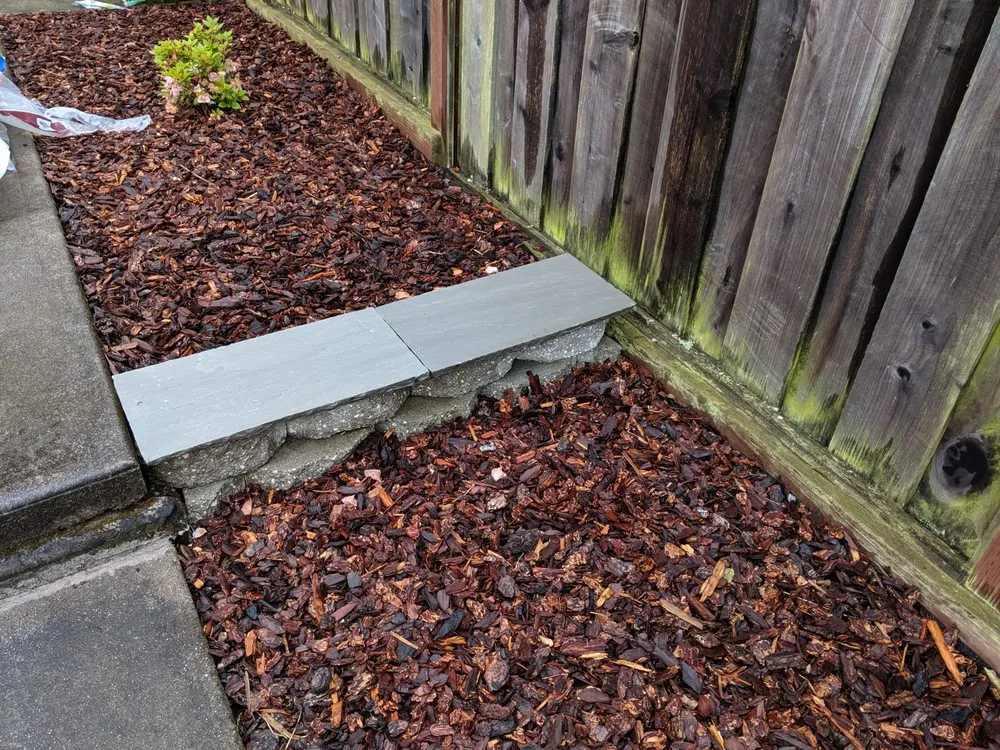 Reliable lawn care service for beautiful yards across San Francisco, CA - US Landscape design And Restorations